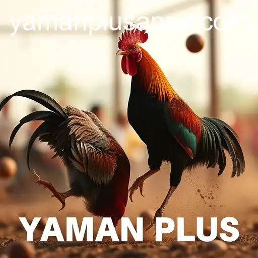 Security and Trust YAMAN PLUS - International Licenses and Certifications